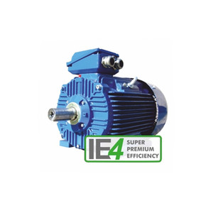 Moteur électrique CANTONI 4SIE IE4 Super Premium Efficiency pour usage industriel - Product Image 1