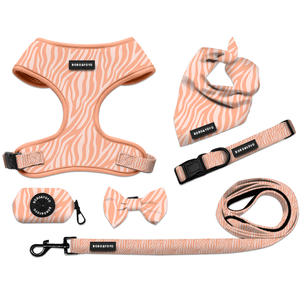 Nueva llegada colores de moda al por mayor sin tirar ajustable de neopreno gato mascota perro arnés correa de plomo <span class=keywords><strong>collar</strong></span> conjunto - Product Image 2