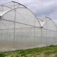 Serre à toit en dents de scie pour la culture de légumes et de fruits de haute qualité