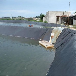0.5mm 0.75mm HDPE <span class=keywords><strong>geomembrane</strong></span> có hiệu suất cao và leakproof, được sử dụng cho xây dựng hồ chứa đập - Product Image 3