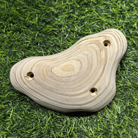 Prises d'escalade d'intérieur en bois pour mur d'entraînement d'escalade, modèles Pinch, Slope et Jug