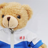 Uniforme d'étudiant personnalisé avec divers logos d'école 25cm peluches peluches ours en peluche jouets en peluche
