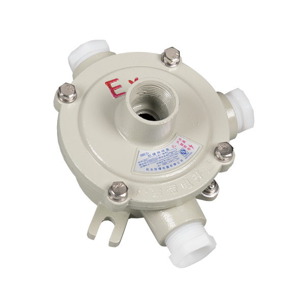 Explosion Proof Junction Box IIB Type Explosion-proof Die Casting Aluminium Junction Box G1/2