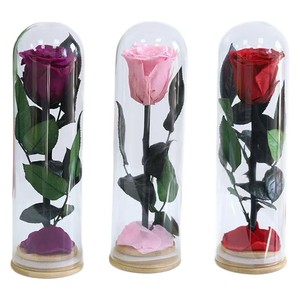 Roses éternelles en gros, Saint-Valentin, couvercle en verre, base en bambou, petit prince, ornement, <span class=keywords><strong>rose</strong></span> éternelle unique - Product Image 5