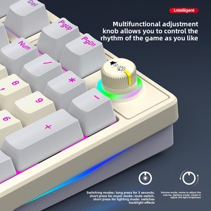Clavier de jeu mécanique filaire T-WOLF <span class=keywords><strong>T50</strong></span> 98 touches, interrupteur bleu, rétroéclairage RVB, touches ABS 3 couleurs pour PC portable - Product Image 4