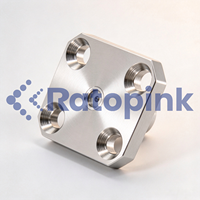 Buse de type H Ratopink HB451670 65um, Remplacement pour imprimante CIJ Hi-tachi PX PXR PB RX2 UX GU Series
