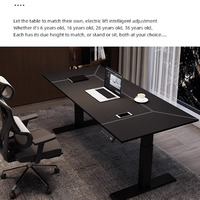 Escritorio Ergonómico Inteligente de Altura Ajustable ODM/OEM, Mesa de Oficina Eléctrica para Trabajar Sentado o De Pie, Escritorio Motorizado Personalizado para Gimnasio
