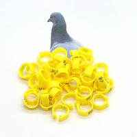 2022 Avec numéro de série Anneaux de patte en plastique à clipser pour canaris vivants