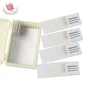 Биологические слайды с паразитами, слайды Plasmodium <span class=keywords><strong>Vivax</strong></span> Falciparum, Обучающие исследования, стеклянные слайды, подготовленные для лаборатории - Product Image 4
