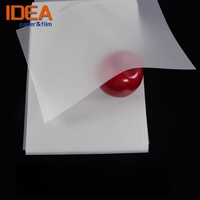 Lámina de PET Mylar Lechosa Wetac de 7.5 Mil, Reutilizable, Flexible, para Manualidades, Corte y Grabado en Máquinas Silhouette