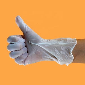2019 special offer Transparent/blue disposable examination Pvc vinyl gloves powder free - Product Image 6
