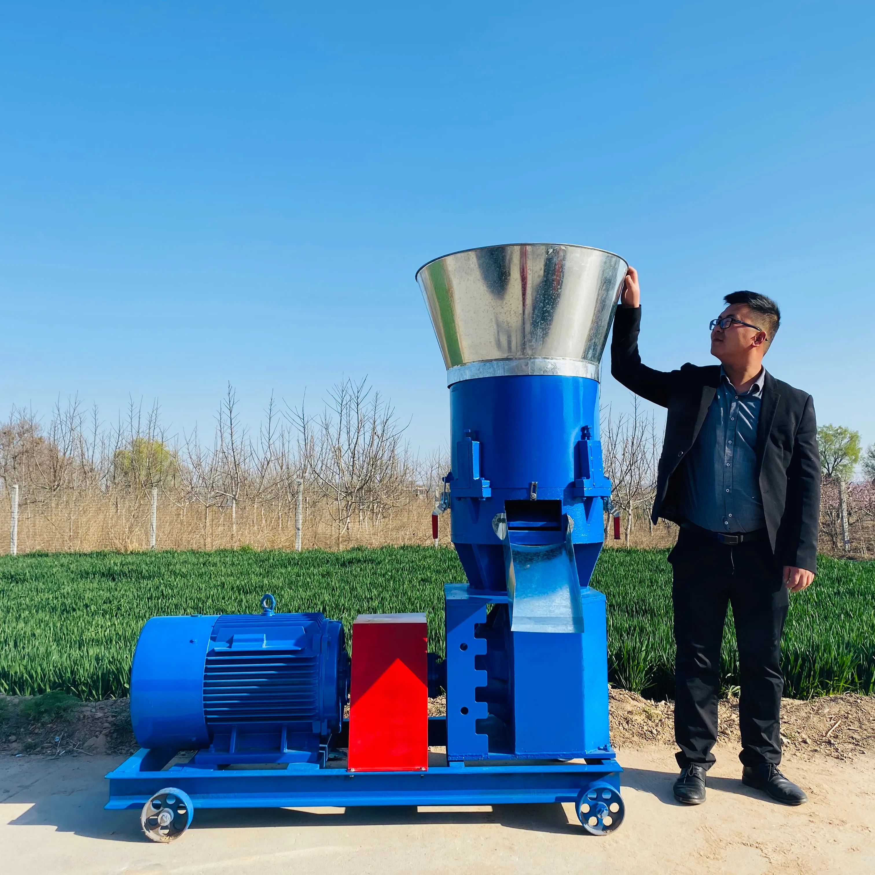 Lavorazione dei mangimi per bovini Mesin Pelet pelletizzatore per pollame Mini macchina per Pellet di mangime