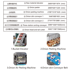 Automatische Industrielle Zwiebel-Schäl- und Schneidelinien - Product Image 6