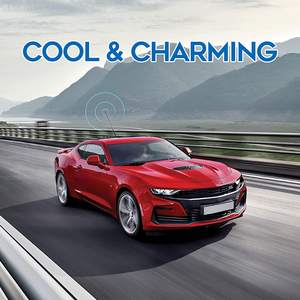 <span class=keywords><strong>Antena</strong></span> <span class=keywords><strong>Dipolo</strong></span> de Media Onda de Acero Inoxidable <span class=keywords><strong>para</strong></span> Exteriores, Personalizada <span class=keywords><strong>para</strong></span> Hombre, 170 mm, 433 MHz, <span class=keywords><strong>Multibanda</strong></span>, Ganancia de 5 dBi, VSWR Máximo de 1.5 - Product Image 6