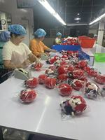 Poupées en peluche personnalisées délicates, collection merveilleuse de jouets en peluche de dessins animés pour filles, utilisation quotidienne