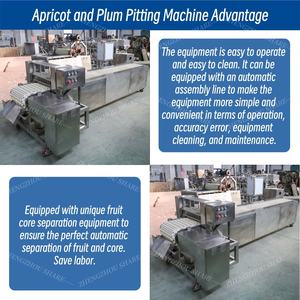 Máquina Deshuesadora de Fruta de Albaricoque de Alta Calidad, Máquina Eléctrica para Quitar Semillas de Fruta, Máquina para Quitar Huesos de Albaricoque y Aceitunas - Product Image 5