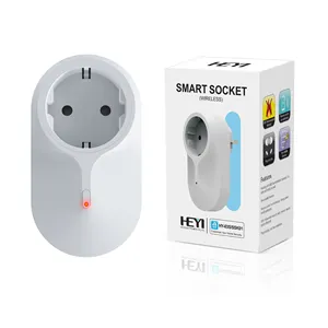 2024 Hot Sale Wireless Smart Socket App Remote Control Universal Socket Alarm System for Home Security HY-03S