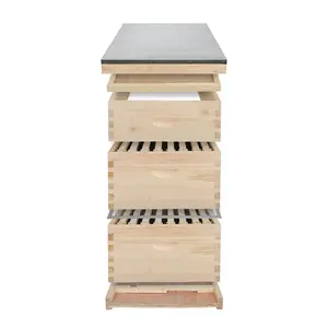صندوق خلية نحل خشبي 3 طبقات إطار كامل 10 لانستروث لمعدات تربية النحل