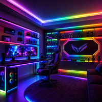 Vente en gros d'usine, OEM ODM disponible, bande LED flexible numérique RGBIC de 5 mètres, 5 mm, 160 LED par mètre, changement de couleur complet