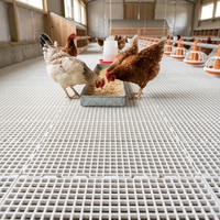 Nouvelle Planche à litière monobloc professionnelle en plastique PP surélevée pour élevage de volailles, avec pieds de palette et grille à lattes, robuste
