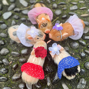 Muñecos de <span class=keywords><strong>Cerdo</strong></span> <span class=keywords><strong>Reborn</strong></span> de 4.3 Pulgadas, Silicona Suave, Realistas, Mini <span class=keywords><strong>Cerdo</strong></span>, Juguete Educativo de Animal Recién Nacido, Unisex - Product Image 3