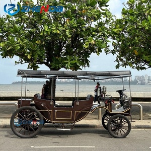 Calèche électrique de mariage / Calèche romantique de Noël pour la visite des sites / Buggy électrique de tourisme - Product Image 3