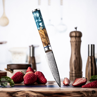 Nouveau design 3.5 pouces 67 couches en acier damas Chef couteau d'office couteaux couteau à éplucher les fruits avec résine et manche en bois massif