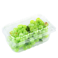 Conteneur écologique jetable en PET/RPET de 500 g pour raisins et fraises