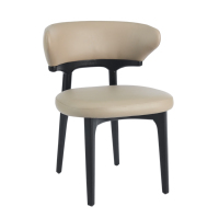 Chaise de salle à manger en bois massif de style nordique, luxe léger, moderne et simple, pour la maison, petit appartement ou restaurant