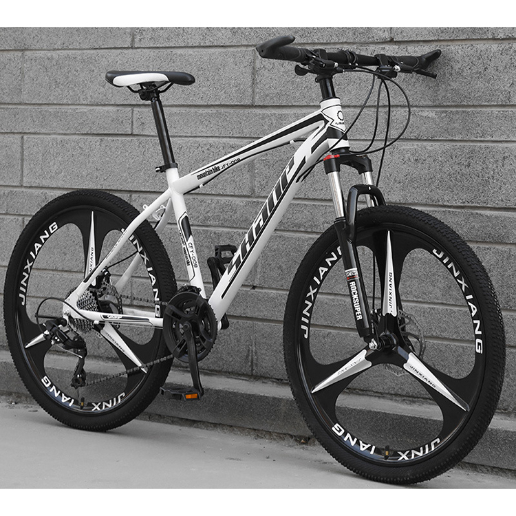 どんな地形も制覇。プレミアムな中国から自転車を輸入する性能。