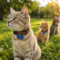 Mini traceur pour animaux de compagnie HST GX03 avec GPS Beidou intégré, étanche IP67, suivi en temps réel via Android/PC, 4G LTE, batterie rechargeable
