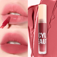 Rouge à lèvres liquide mat longue tenue, waterproof, hydratant, sans transfert, effet velours aérien, végétalien, à base de plantes, sans logo, best-seller