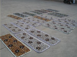 Alfombra de Masaje para Pies de Piedra Pulida de Diseño Moderno y Simple, Antideslizante, Decoración Interior y Exterior, Alfombra de Entrada - Product Image 4