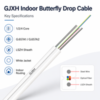 Câble de branchement intérieur FTTH GJXH le plus vendu, SM G652D G657A2, 2 fibres, LSZH, type arc, expédition rapide