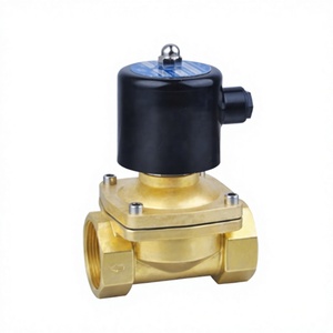 Válvula Solenoide Eléctrica de Latón Serie 2W de 1 a 2 Pulgadas, 12V 24V 220V, Válvula de Agua con 1 Año de Garantía - Product Image 2