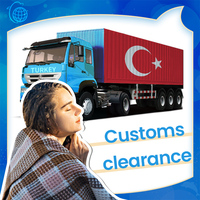 Transitaire Professionnel Chine Turquie Expédition Maritime Aérienne Express BDS Transporteur EXW CIF Transit en 7-10 Jours Manipulation de Marchandises Dangereuses 24/7