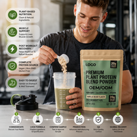 Poudre de Protéines Végétales Premium pour Adultes, Marque Privée, Faible MOQ, Sans OGM, Végétalien, Sans Gluten, Certifié Halal, Protéines Personnalisées
