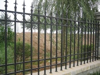 Clôture arrière-cour