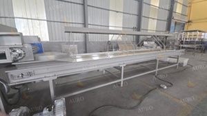 Linea di Lavorazione Industriale per Frutta, Palma, <span class=keywords><strong>Datteri</strong></span> e Verdure, Macchina Automatica per Lavaggio e Selezione con Capacità di 1 T/Ora, Motore Marca AURO - Product Image 3
