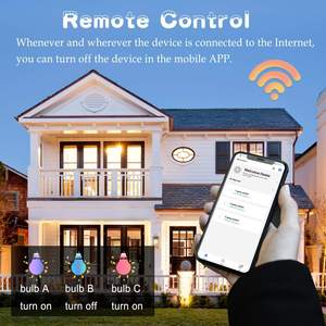 RSH英国美国1/2/3/4帮家庭套装Siri Alexa应用语音控制图亚紫蜂无线智能家居灯墙开关带定时 - Product Image 6