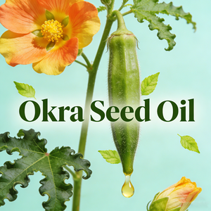 Venta Directa de Fábrica, Aceite de Semilla de Okra 8015-62-1, Precio de Mayorista, Aceite Esencial de Semilla de Okra 100% Puro y Natural de Alta Calidad, <span class=keywords><strong>Comprar</strong></span> en Línea - Product Image 6