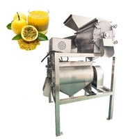 Dubbelkanaals kernverwijderende mango-passievrucht pulpmachine, commerciële mangopulpmachine