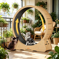 Roue d'exercice silencieuse en bois pour chat, tapis roulant pour chats d'intérieur avec griffoir, jouet de fitness, équipement d'exercice pour animaux de compagnie