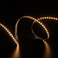 Éclairage de décoration intérieure, bande lumineuse LED DC12V/24V, CCT modulable, 120 LED/m, 8 mm, flexible, à intensité variable