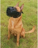 Bozal ajustable de alta resistencia a prueba de mordeduras para perros-Máscara de entrenamiento de metal y cuero para pastores alemanes/perros grandes, antichoque y transpirable