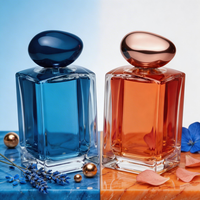 Flacon de parfum en verre de 100 ml, design moderne et luxueux, avec pompe, vide, de la marque Anding Supplier.