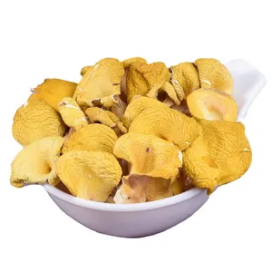 China export Wild dried mushroom chanterelle