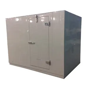 Cold Storage Room Walking Cooler For Lab