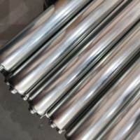 Rouleau gravitaire en acier inoxydable 304-60mm de diamètre. Résistant à la corrosion pour l'industrie alimentaire