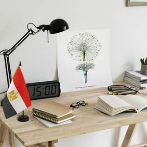 Offre Spéciale Drapeaux de Bureau 14x21cm – Drapeaux Nationaux pour Banques et Espaces Publics, Idéal pour le Bureau - Product Image 6